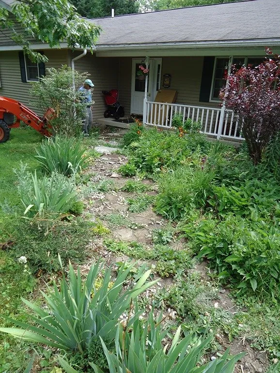 Overgrown front yard before the project