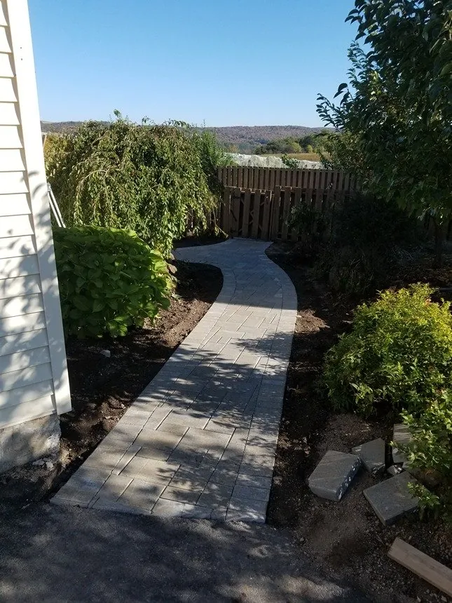Paver path winding through a side yard garden